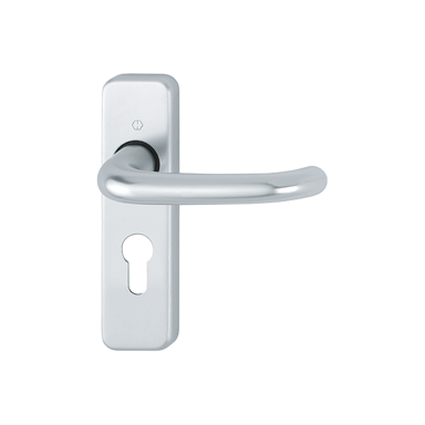 Hoppe Levers on euro backplate SAA
